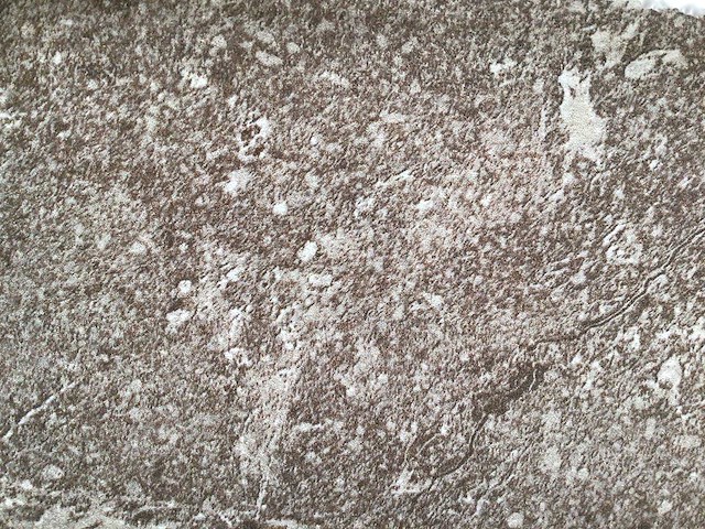 Kutahya porfir vizon mat vloertegel 60x120 cm 120,96 m² - afbeelding 3 van  4