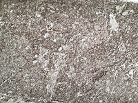 Kutahya porfir vizon mat vloertegel 60x120 cm 120,96 m² - afbeelding 3 van  4