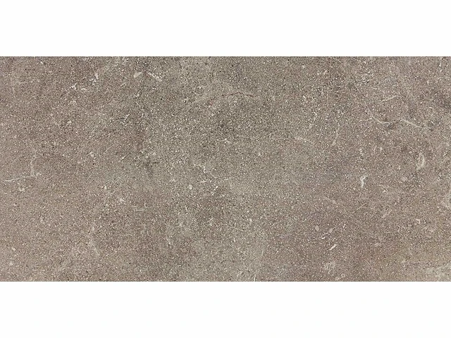 Kutahya porfir vizon mat vloertegel 60x120 cm 120,96 m² - afbeelding 1 van  7