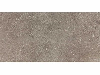 Kutahya porfir vizon mat vloertegel 60x120 cm 120,96 m² - afbeelding 1 van  7