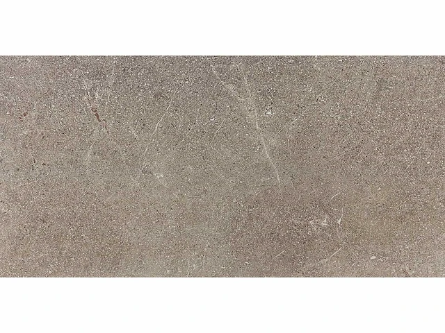 Kutahya porfir vizon mat vloertegel 60x120 cm 120,96 m² - afbeelding 2 van  7