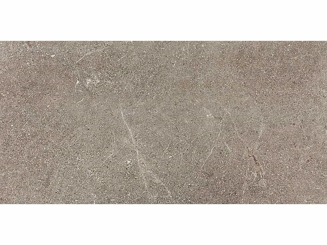 Kutahya porfir vizon mat vloertegel 60x120 cm 120,96 m² - afbeelding 3 van  7