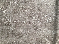 Kutahya porfir vizon mat vloertegel 60x120 cm 120,96 m² - afbeelding 4 van  7