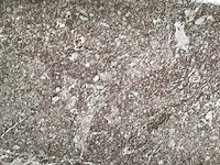 Kutahya porfir vizon mat vloertegel 60x120 cm 120,96 m² - afbeelding 5 van  7