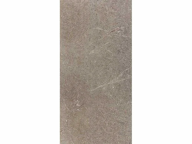 Kutahya porfir vizon mat vloertegel 60x120 cm 120,96 m² - afbeelding 6 van  7