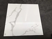 Kutahya statuario gepolijst vloertegel 120x120 cm 57,6 m² - afbeelding 6 van  6