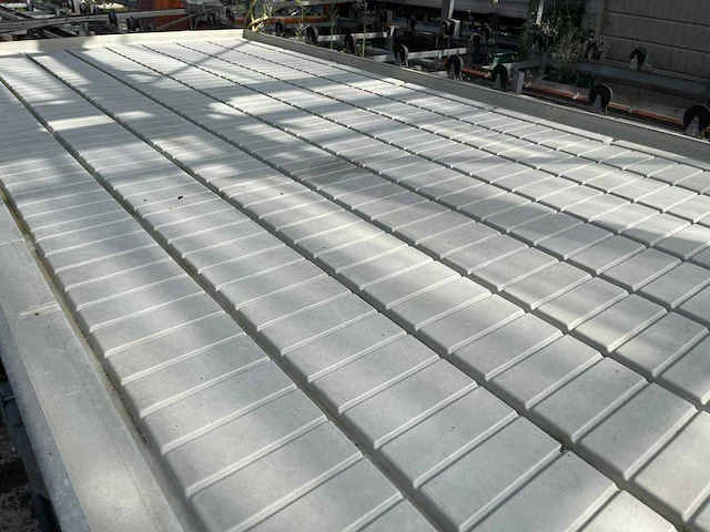 Kweektafel (5x) - afbeelding 4 van  10