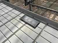 Kweektafel (5x) - afbeelding 3 van  10