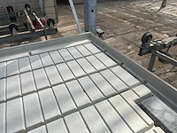 Kweektafel (5x) - afbeelding 5 van  10