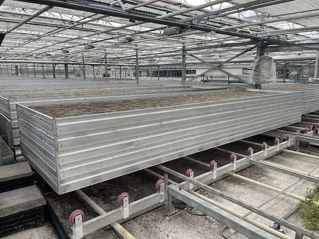 Kweektafel (80x) - afbeelding 1 van  5