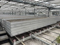 Kweektafel (80x) - afbeelding 1 van  5