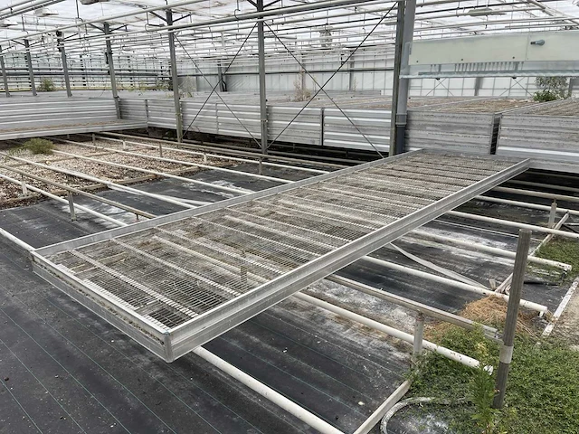 Kweektafel (80x) - afbeelding 2 van  5