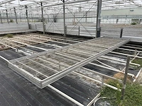 Kweektafel (80x) - afbeelding 2 van  5