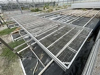 Kweektafel (80x) - afbeelding 3 van  5