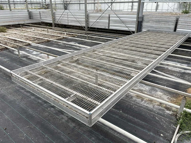 Kweektafel (80x) - afbeelding 4 van  5