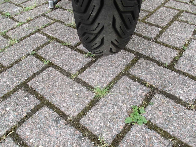 Kymco - snorscooter - agility fat 12 inch - scooter - afbeelding 11 van  11