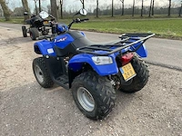 Kymco quad - afbeelding 3 van  9