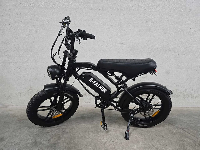 La souris - fatbike - 4076 - elektrische fiets - afbeelding 1 van  7