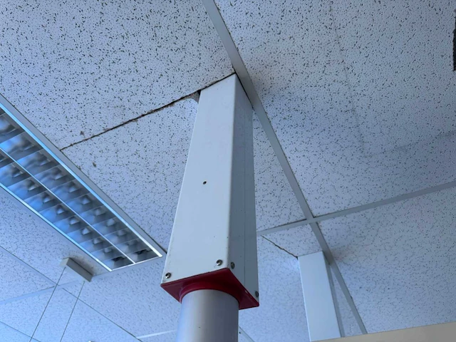 Laboratorium tafel met afzuiging - afbeelding 4 van  18