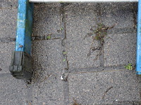 Ladder - afbeelding 2 van  4