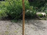 Lamp bouwjaar vintage - afbeelding 1 van  14