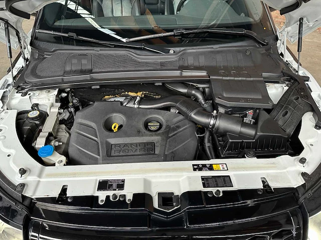 Land rover range rover evoque 2.0 si 4wd sicilian yellow 241pk 2013, n-667-dv - afbeelding 39 van  52