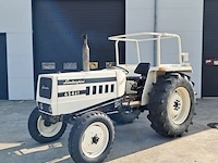 Landbouwtrekker, lamborghini, 654, 1978 - afbeelding 22 van  45