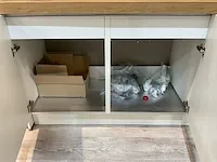 Landelijk hoek-keukenopstelling - afbeelding 23 van  23