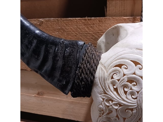 Large hand gegraveerde buffalo schedel, 2024 - afbeelding 2 van  11