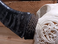 Large hand gegraveerde buffalo schedel, 2024 - afbeelding 2 van  11