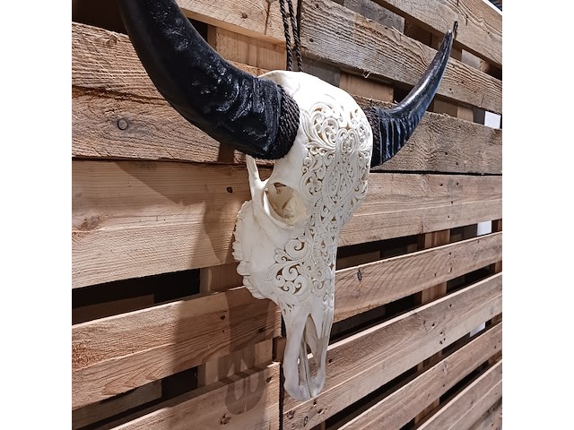 Large hand gegraveerde buffalo schedel, 2024 - afbeelding 3 van  11