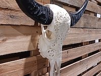 Large hand gegraveerde buffalo schedel, 2024 - afbeelding 3 van  11