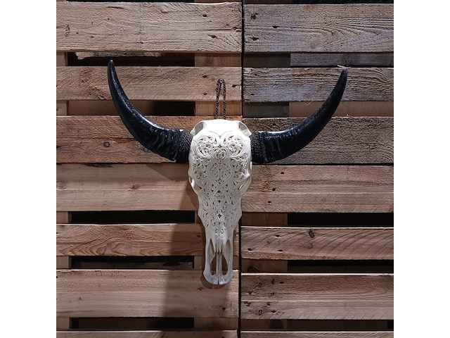 Large hand gegraveerde buffalo schedel, 2024 - afbeelding 1 van  11