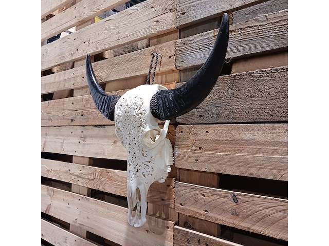 Large hand gegraveerde buffalo schedel, 2024 - afbeelding 4 van  11