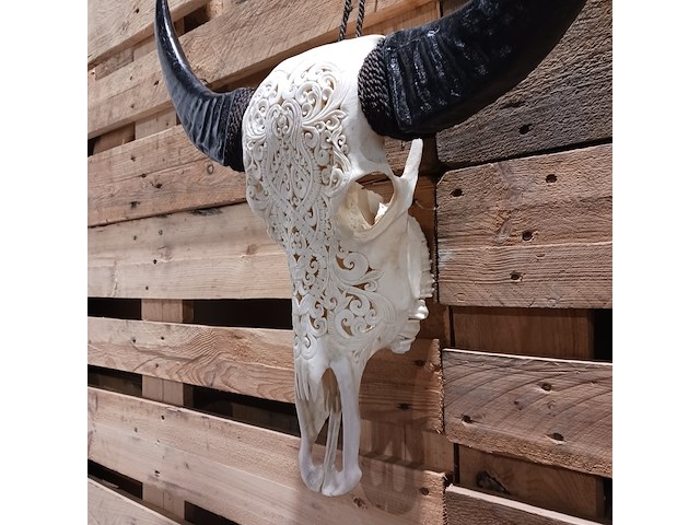 Large hand gegraveerde buffalo schedel, 2024 - afbeelding 5 van  11