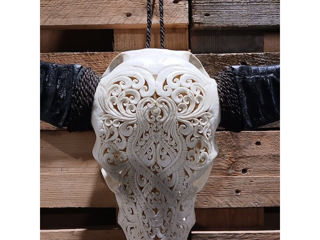 Large hand gegraveerde buffalo schedel, 2024 - afbeelding 6 van  11