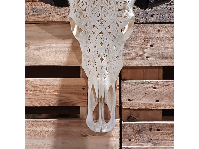 Large hand gegraveerde buffalo schedel, 2024 - afbeelding 7 van  11