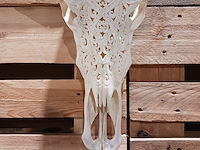 Large hand gegraveerde buffalo schedel, 2024 - afbeelding 7 van  11