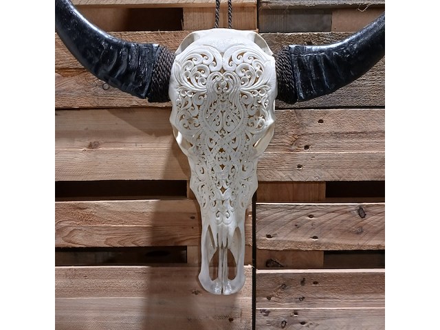 Large hand gegraveerde buffalo schedel, 2024 - afbeelding 8 van  11