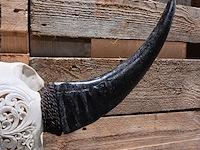 Large hand gegraveerde buffalo schedel, 2024 - afbeelding 9 van  11