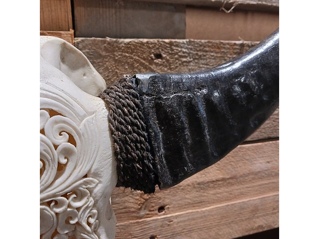 Large hand gegraveerde buffalo schedel, 2024 - afbeelding 10 van  11