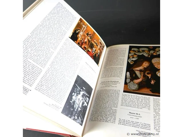 Larousse dictionay of painters - afbeelding 4 van  5