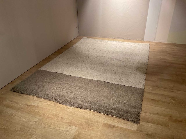 Lars vloerkleed - afbeelding 1 van  13