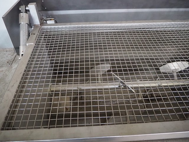 Laska - afbeelding 8 van  14