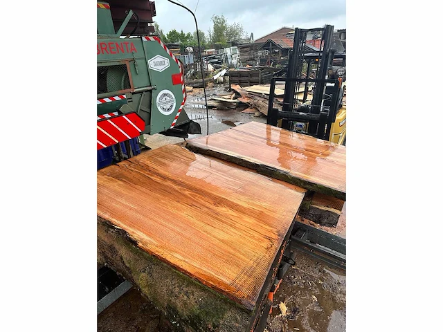 Lbl brenta cd-10 bomenzaag 37 kw 155 cm zaagbreedte - afbeelding 20 van  27