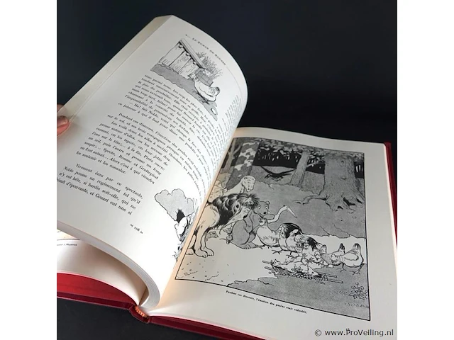 Le roman du renard - afbeelding 4 van  5