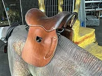 Leaellynasaurus ride - afbeelding 13 van  14
