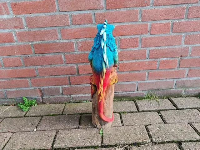 Leguaan op stronk - afbeelding 3 van  4