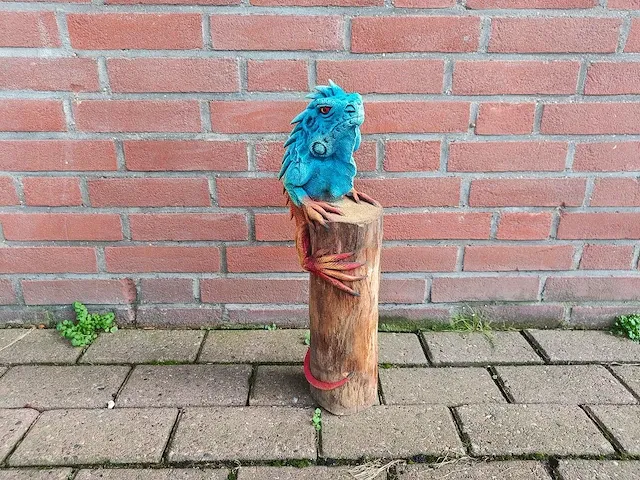 Leguaan op stronk - afbeelding 4 van  4