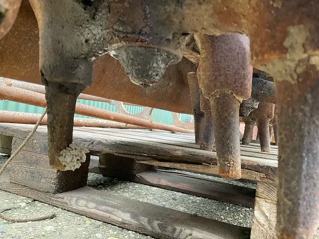 Lely rotorkopeg - afbeelding 9 van  11